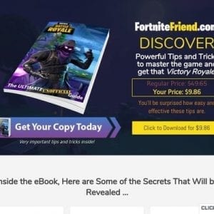FortnightFriend.com Pro Guides